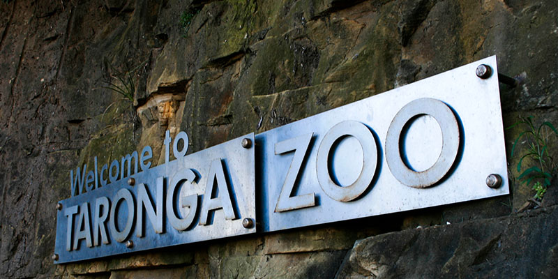 Taronga-Zoo